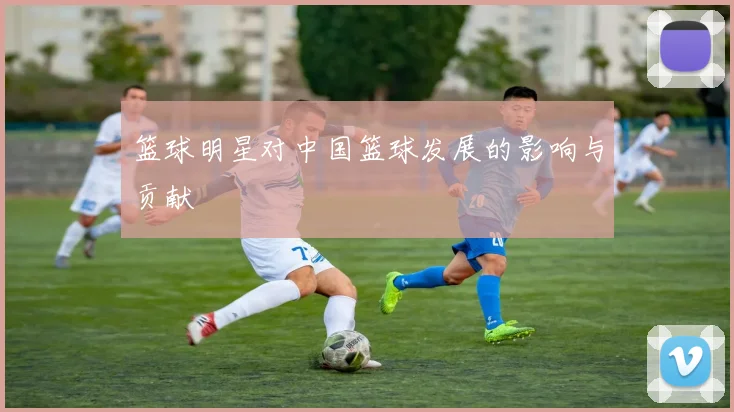 篮球明星对中国篮球发展的影响与贡献